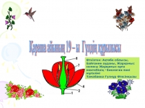 Презентация по биологии на тему Гүлдің құрылысы (6 класс)