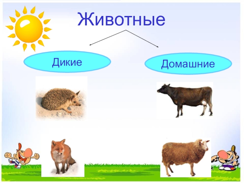 Презентация по окружающему миру на тему Дикие и домашние животные (2 класс) ЖивотныеДикиеДомашние ЖивотныеДикиеДомашние