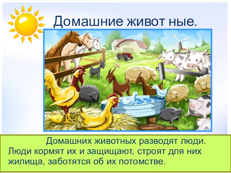 Презентация по окружающему миру на тему Дикие и домашние животные (2 класс) Домашние живот ные. Домашних животных разводят люди. Люди кормят их и защищают, Домашние живот ные. Домашних животных разводят люди. Люди кормят их и защищают, строят для них жилища, заботятся об