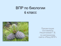 Презентация по биологии ВПР 6 класс