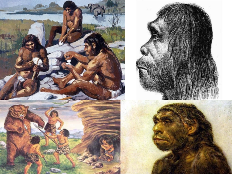Хомо сапиенс появился в эпоху какого палеолита. Древний человек. Освоение земли человеком. Как люди заселяли землю. Занятия кроманьонцев.