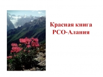 Презентация  Красная книга Северной - Осетии