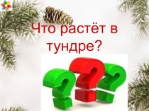 Детская презентация по окружающему миру Немного о тундре 4 класс