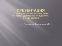 Презентация к уроку развития речи по теме Животные 3кл.