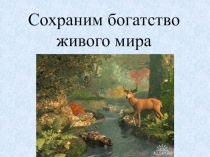 Презентация к уроку биологии Богатство живого мира