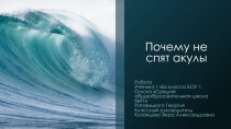 Презентация по окружающему миру Почему акулы не спят