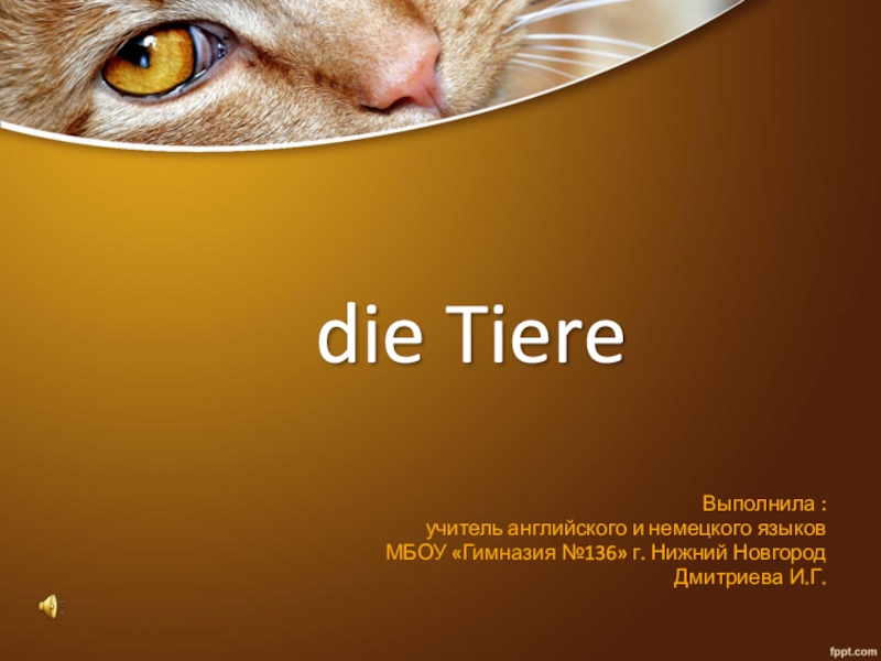 Презентация Презентация по немецкому языку Животные