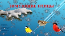 Презентация Зимующие птицы (младшая группа)