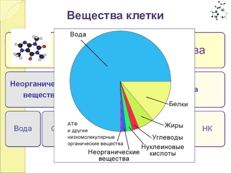 Диаграмма в биологии это