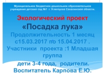 Презентация по экологии Посадка лука