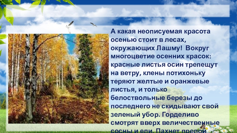 Текст стоит осенний день везде. Сочинение на тему осенние осины. Осины осенью сочинение. Осина осенью рассказ. Осенняя осина описание сочинение.