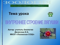 Презентация по биологии на тему Внутреннее строение лягушки (7 класс)