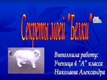 Презентация к исследовательской работе  Секреты моей Белки