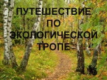 Внеклассное мероприятие Путешествие по экологической тропе