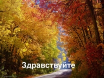 Презентация к уроку биологии Витамины