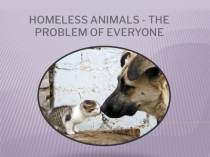 10 класс, детский проект The Homeless Animals