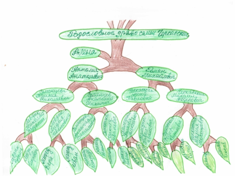 Проект по окружающему миру 2 класс генеалогическое древо семьи