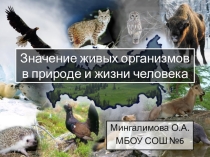 Презентация по биологии на тему Значение живых организмов в природе и жизни человека