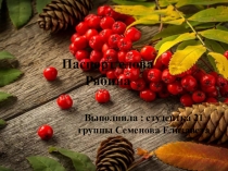 Паспорт слова - РЯБИНА