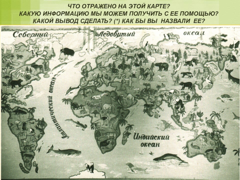 Карта народов земли. Зоогеографическая карта. Карта зоогеографических областей. Зоогеографическая карта России.