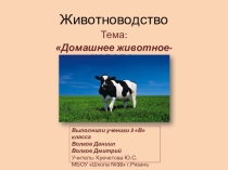 Презентация по окружающему миру на тему:Домашнее животное - корова (животноводство)