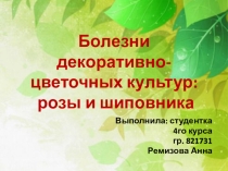 Презентация по микробиологии на тему Болезни декоративно-цветочных культур: розы и шиповника