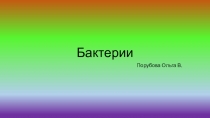 Презентация по биологии по теме Бактерии