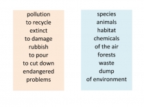 Презентация по английскому языку на тему Экологические проблемы. Обобщение. (7 класс)