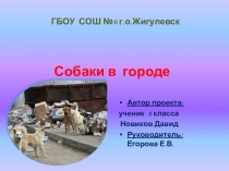 Презентация по экологии Собаки в городе