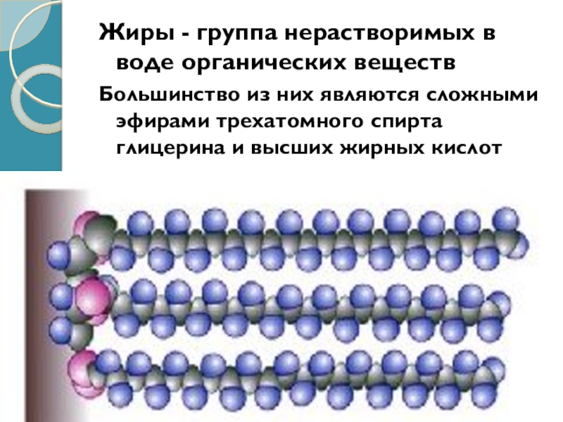 Вода это органическое вещество. Органические вещества клетки 10 класс. Нерастворимые вещества в клетке. Вода в органических клетках. Полимеры молекулы нерастворимы в воде.