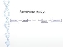 Презентация к открытому уроку биологии Кровь и остальные компоненты внутренней среды организма.