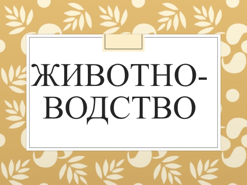Презентация по окружающему миру на тему Животноводство Животно-водство Животно-водство