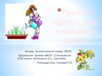 Презентация Проект Цвети, наш школьный двор