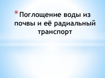 Поглощение воды и ее радиальный транспорт