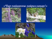 Презентация к внеклассному мероприятию Чир-чайаанны хайралла Береги природу на хакасском языке