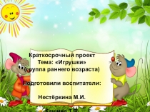 Проект Игрушки (2-3года) группа раннего развития