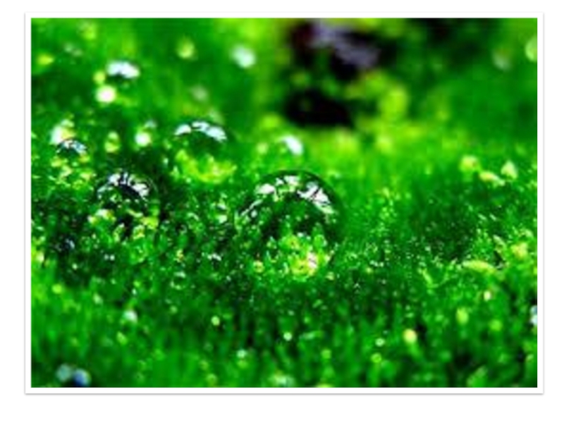 Презентация: Употребление имен прилагательных в речи (Поговорим о весне) (4 класс)