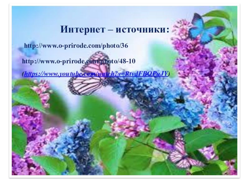 Презентация: Употребление имен прилагательных в речи (Поговорим о весне) (4 класс) http://www.o-prirode.com/photo/36http://www.o-prirode.com/photo/48-10Интернет – источники:(https://www.youtube.com/watch?v=RtvdFBOPuJY) http://www.o-prirode.com/photo/36http://www.o-prirode.com/photo/48-10Интернет – источники:(https://www.youtube.com/watch?v=RtvdFBOPuJY)