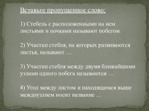Презентация по биологии на тему Внешнее строение листа (6 класс)