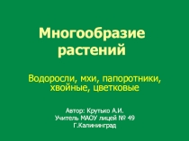 Презентация по окружающему миру на тему Многообразие растений: водоросли,мхи, папоротники, хвойные и цветковые растения  (4 класс)