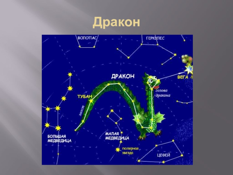 Проект на тему созвездия