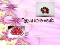 Дүниетану пәні Тұқым және жеміс 2 класс