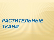 Презентация по биологии на тему Растетельные ткани. 6 класс