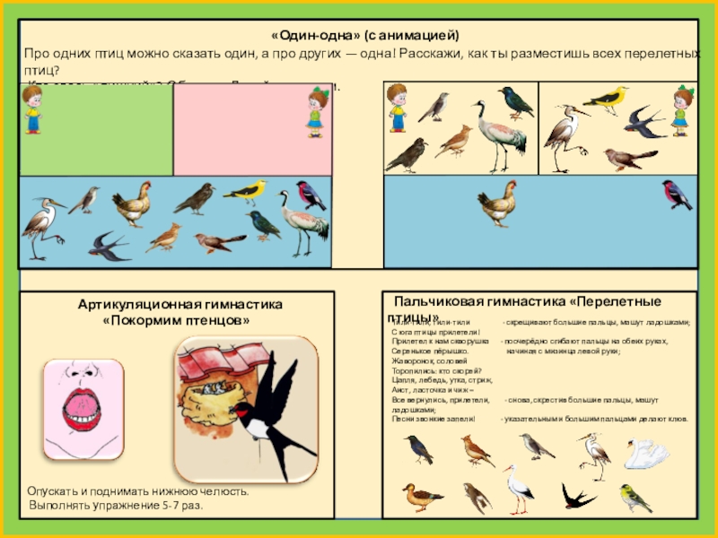 Календарный план перелетные птицы