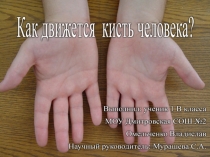 Проектная работа Как движется кисть руки