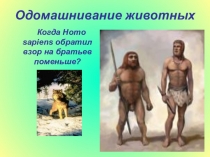 УРОК, ПРЕЗЕНТАЦИЯ ПО БИОЛОГИИ Селекция