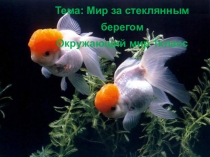 Презентация по окружающему миру Мир за стеклянным берегом 1 класс