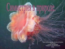 Презентация -Симметрия в природе