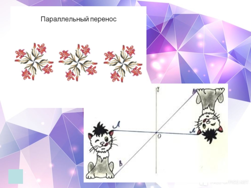 Параллельный перенос симметрия рисунок