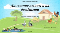 Презентация  Домашние птицы и их детеныши